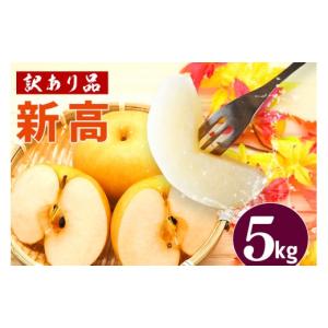 ふるさと納税 梨 茨城県 笠間市 訳あり 柴沼梨園の梨（ 新高 ） 梨 5kg 大玉 6〜14個入り 訳アリ 不揃い ナシ なし 国産 茨城 新高梨 秋 旬 フルーツ 果物 先…