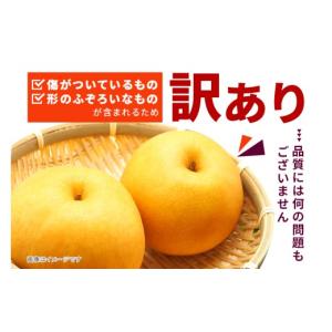 ふるさと納税 梨 茨城県 笠間市 訳あり 柴沼...の詳細画像2