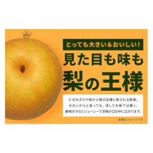 ふるさと納税 梨 茨城県 笠間市 訳あり 柴沼...の詳細画像4