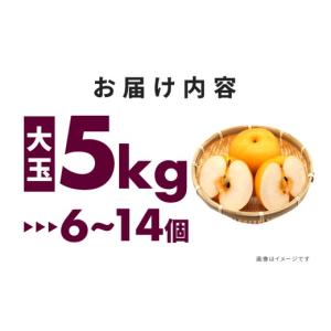 ふるさと納税 梨 茨城県 笠間市 訳あり 柴沼...の詳細画像5