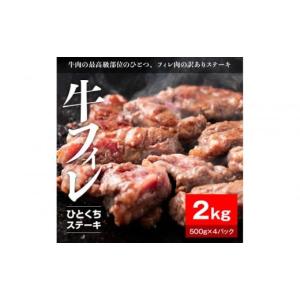 ふるさと納税 牛肉 ヒレ 静岡県 静岡市 牛ヒレ...の商品画像