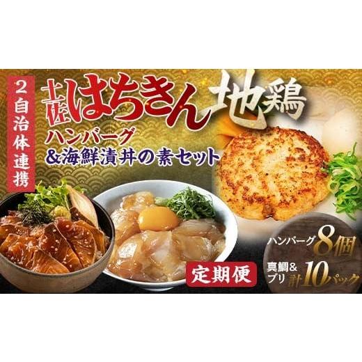 ふるさと納税 鶏肉 高知県 大川村  セット定期便 大川村と高知市の共通返礼品 土佐はちきん地鶏ハン...