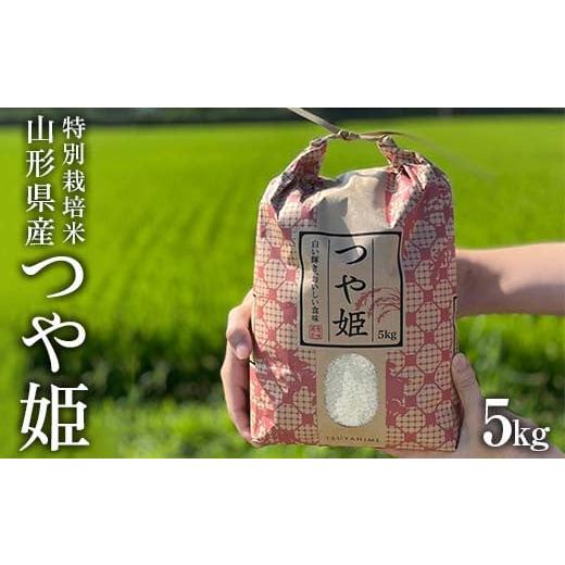 ふるさと納税 米 つや姫 山形県 - 先行予約 2025年10月中旬から発送 農家の先生が作る“特...