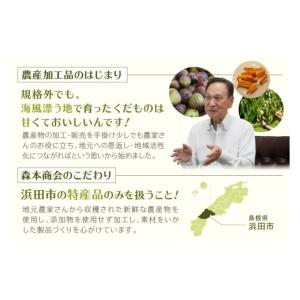 ふるさと納税 菓子 ゼリー 島根県 浜田市 山...の詳細画像4