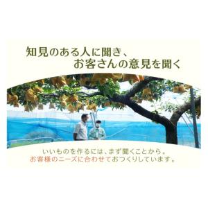 ふるさと納税 菓子 ゼリー 島根県 浜田市 山...の詳細画像5