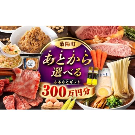 ふるさと納税 イベントやチケット等 熊本県 菊陽町  あとから選べる 菊陽町ふるさとギフト 300万...