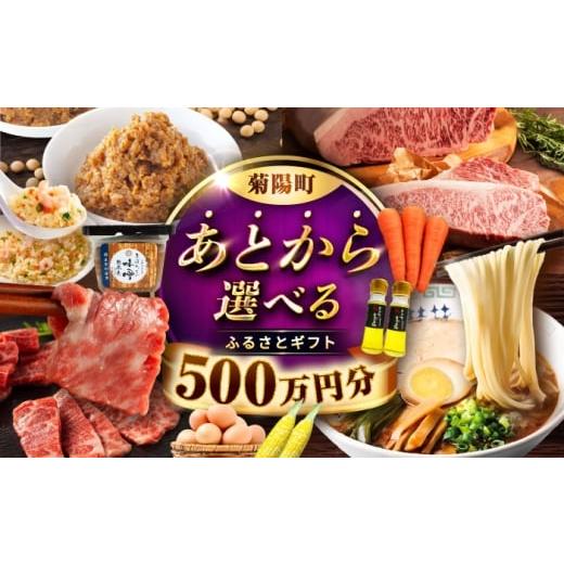 ふるさと納税 イベントやチケット等 熊本県 菊陽町  あとから選べる 菊陽町ふるさとギフト 500万...
