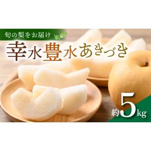 ふるさと納税 梨 千葉県 旭市 数量限定 先行予約 梨 約 5kg 13〜16玉 幸水 豊水 あきづき 旬 品種おまかせ 2026年 8月〜 9月発送 予定 くだもの 果物 フルー…