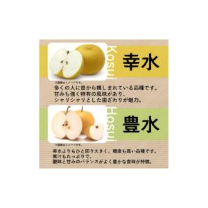 ふるさと納税 梨 千葉県 旭市 数量限定 先行...の詳細画像2