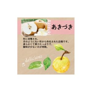 ふるさと納税 梨 千葉県 旭市 数量限定 先行...の詳細画像3
