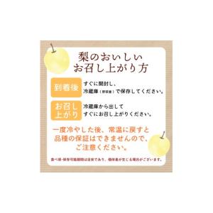 ふるさと納税 梨 千葉県 旭市 数量限定 先行...の詳細画像5