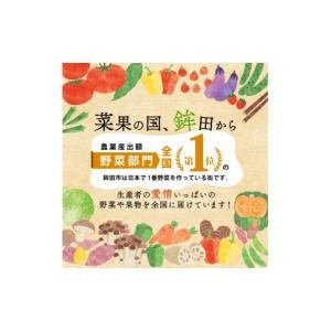 ふるさと納税 和菓子 茨城県 鉾田市 訳あり ...の詳細画像5
