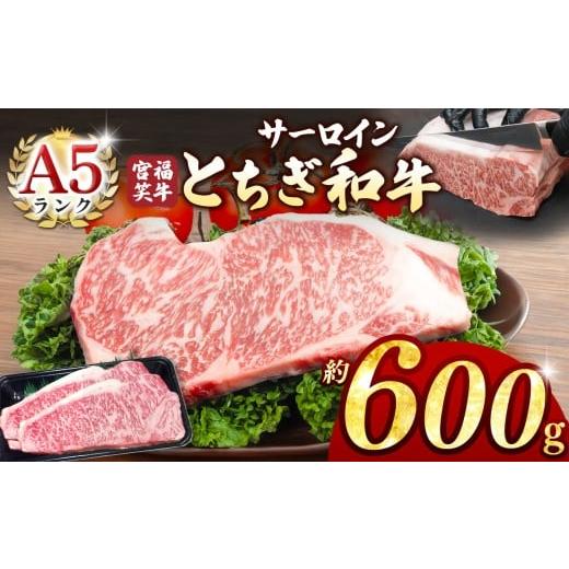 ふるさと納税 牛肉 サーロイン 栃木県 真岡市 宮福笑牛(とちぎ和牛) A5 サーロインステーキ 約...