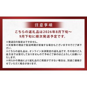 ふるさと納税 ぶどう マスカット 長崎県 時津...の詳細画像2