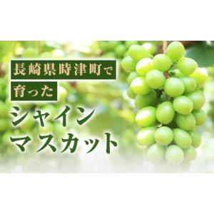 ふるさと納税 ぶどう マスカット 長崎県 時津...の詳細画像3