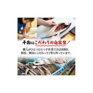 ふるさと納税 干物 愛知県 南知多町 南知多の...の詳細画像3