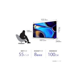 ふるさと納税 TV・オーディオ・カメラ 神奈川...の詳細画像3