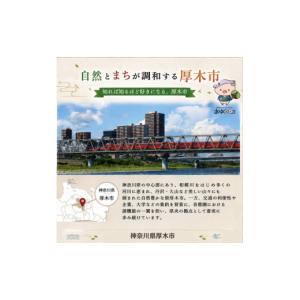 ふるさと納税 TV・オーディオ・カメラ 神奈川...の詳細画像5