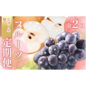 ふるさと納税 果物の詰合せ 和歌山県 かつらぎ町 全2回 かつらぎ町産 フルーツ定期便（梨・ピオーネ）フルーツ王国よりお届け ／ なし ピオーネ ぶどう 種無…