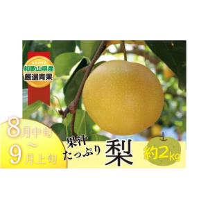ふるさと納税 果物の詰合せ 和歌山県 かつらぎ...の詳細画像2