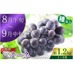 ふるさと納税 果物の詰合せ 和歌山県 かつらぎ...の詳細画像3