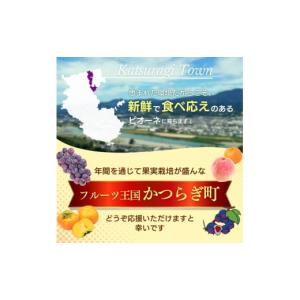 ふるさと納税 果物の詰合せ 和歌山県 かつらぎ...の詳細画像5