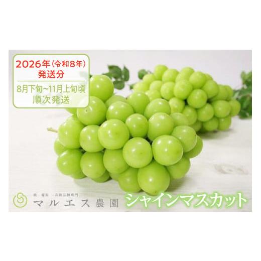 ふるさと納税 ぶどう マスカット 山梨県 甲州市 クール配送「マルエス農園」シャインマスカット2房〜...