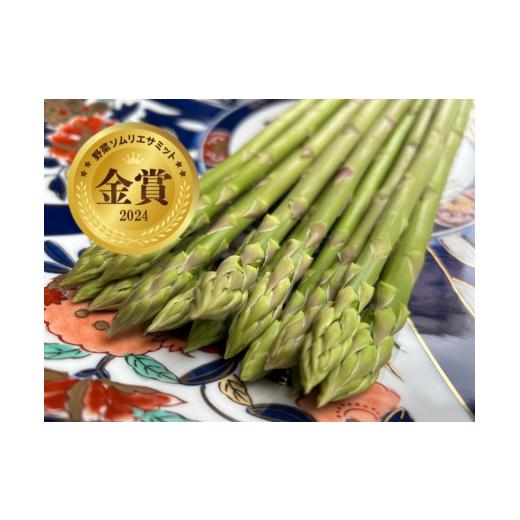 ふるさと納税 野菜類 アスパラガス 佐賀県 伊万里市  先行受付　令和8年3月より順次発送 野菜ソム...