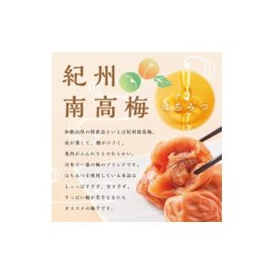 ふるさと納税 加工品等 梅干 和歌山県 白浜町...の詳細画像2