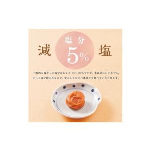 ふるさと納税 加工品等 梅干 和歌山県 白浜町...の詳細画像4
