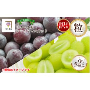 ふるさと納税 ぶどう マスカット 徳島県 阿波市 訳あり シャインマスカット ピオーネ 各2パック 粒でお届け 出荷時期：2026年8月下旬〜2026年9月下旬頃 フルー…
