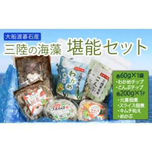 ふるさと納税 のり・海藻 岩手県 大船渡市 三陸の海藻 堪能セット 6種 ( わかめチップ こんぶチップ 元茎わかめ佃煮 元茎わかめスライス佃煮 茎わかめのキムチ…