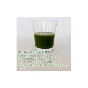 ふるさと納税 果汁飲料 りんご 高知県 南国市...の詳細画像3