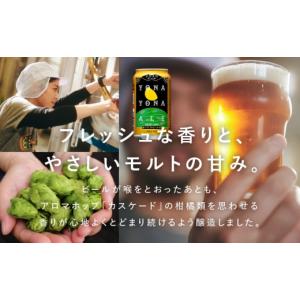 ふるさと納税 ビール 大阪府 泉佐野市 4/1...の詳細画像4