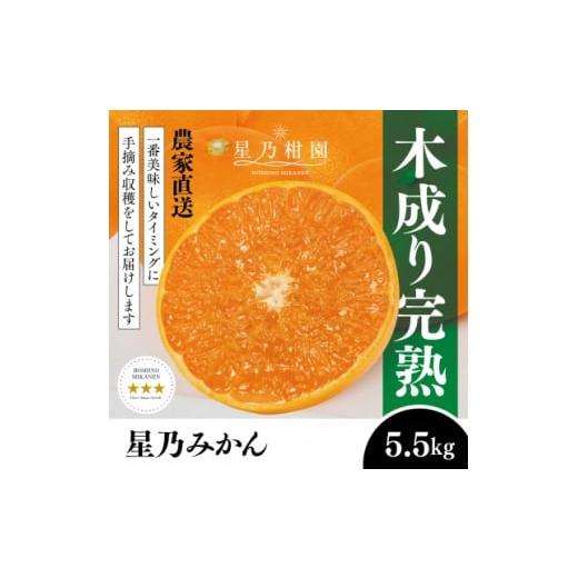 ふるさと納税 果物類 みかん 愛媛県 八幡浜市  三つ星ブランド 星乃みかん(5.5kg) C45-...