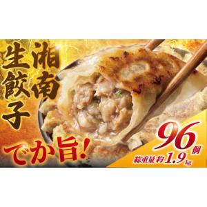 ふるさと納税 惣菜・レトルト 冷凍 神奈川県 藤沢市 餃子 ぎょうざ 96個 (48個 × 2 パック) 肉汁たっぷり 大きい 国産 ブランド豚 ルイビ豚 小分け 豚肉 野菜…