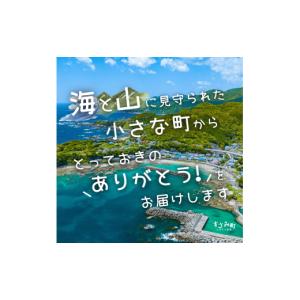 ふるさと納税 ポイント 和歌山県 すさみ町 あ...の詳細画像2