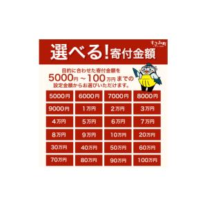 ふるさと納税 ポイント 和歌山県 すさみ町 あ...の詳細画像4