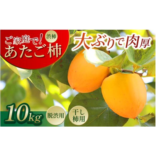 ふるさと納税 果物類 柿 徳島県 三好市 あたご柿 三好市産 10kg 30玉 〜 40玉 渋柿 愛...
