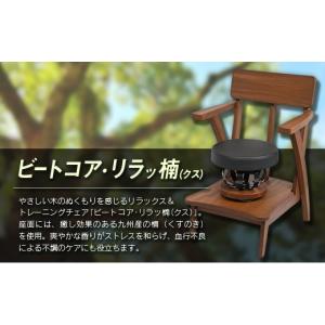 ふるさと納税 スポーツ・アウトドア 宮崎県 -...の詳細画像2