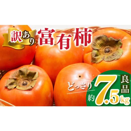 ふるさと納税 果物類 柿 奈良県 五條市  家庭用 どっさり わけあり 富有柿 約7.5kg | フ...
