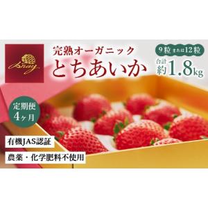 ふるさと納税 いちご 栃木県 鹿沼市 定期便4ヶ月 完熟オーガニックとちあいか 9粒または12粒 2026年12月〜発送