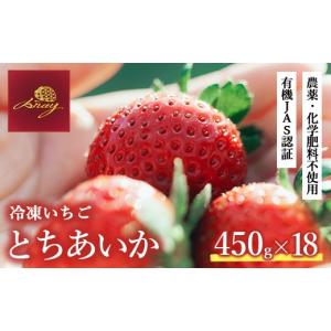 ふるさと納税 いちご 栃木県 鹿沼市 有機JA...の詳細画像1