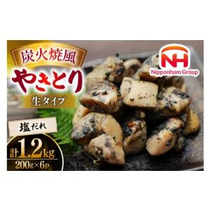 ふるさと納税 鶏肉 焼き鳥 宮崎県 日向市 新登場 炭火焼鳥 炭火焼風やきとり 生タイプ 塩だれ 200g×6P 日本ハムマーケティング 宮崎県 日向市 452061572 鶏…