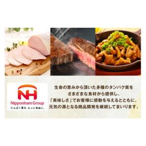 ふるさと納税 鶏肉 焼き鳥 宮崎県 日向市 新...の詳細画像5