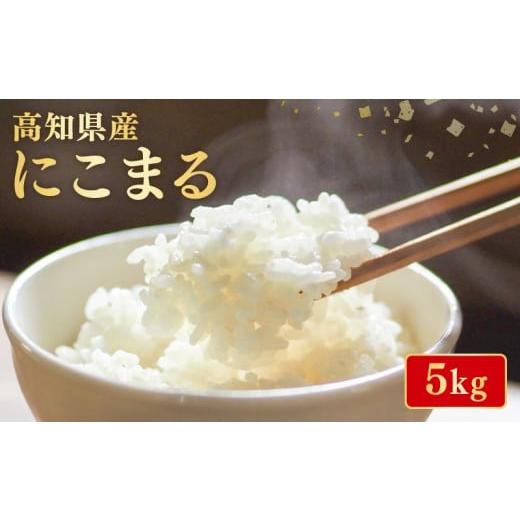 ふるさと納税 米 にこまる 高知県 安芸市  令和7年産 米 にこまる 5kg お米 白米 精米 新...