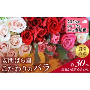 ふるさと納税 花・苗木 花束 静岡県 袋井市 2026年6月〜9月定期便 安間ばら園 こだわりの バラ おまかせ詰め合わせ約30本 4か月定期便 花 ギフト 誕生日 記念…