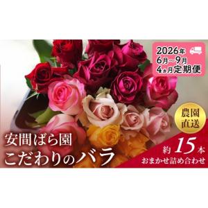ふるさと納税 花・苗木 花束 静岡県 袋井市 2026年6月〜9月定期便 安間ばら園 こだわりの バラ おまかせ詰め合わせ約15本 4か月定期便 花 ギフト 誕生日 記念…