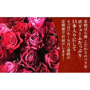 ふるさと納税 花・苗木 花束 静岡県 袋井市 ...の詳細画像3