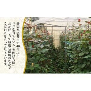 ふるさと納税 花・苗木 花束 静岡県 袋井市 ...の詳細画像5